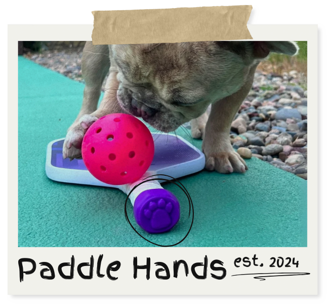 A French Bulldog biting a pink pickleball next to a pickleball paddle featuring a purple Paddle Hands attachment shaped like an animal paw. The image is styled like a Polaroid photo with 'Paddle Hands est. 2024' written at the bottom and a hand-drawn circle highlighting the Paddle Hands attachment.